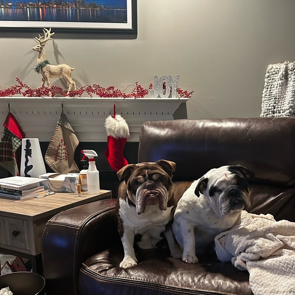 Meet your Posher, Amy. - Picture 5 of 8